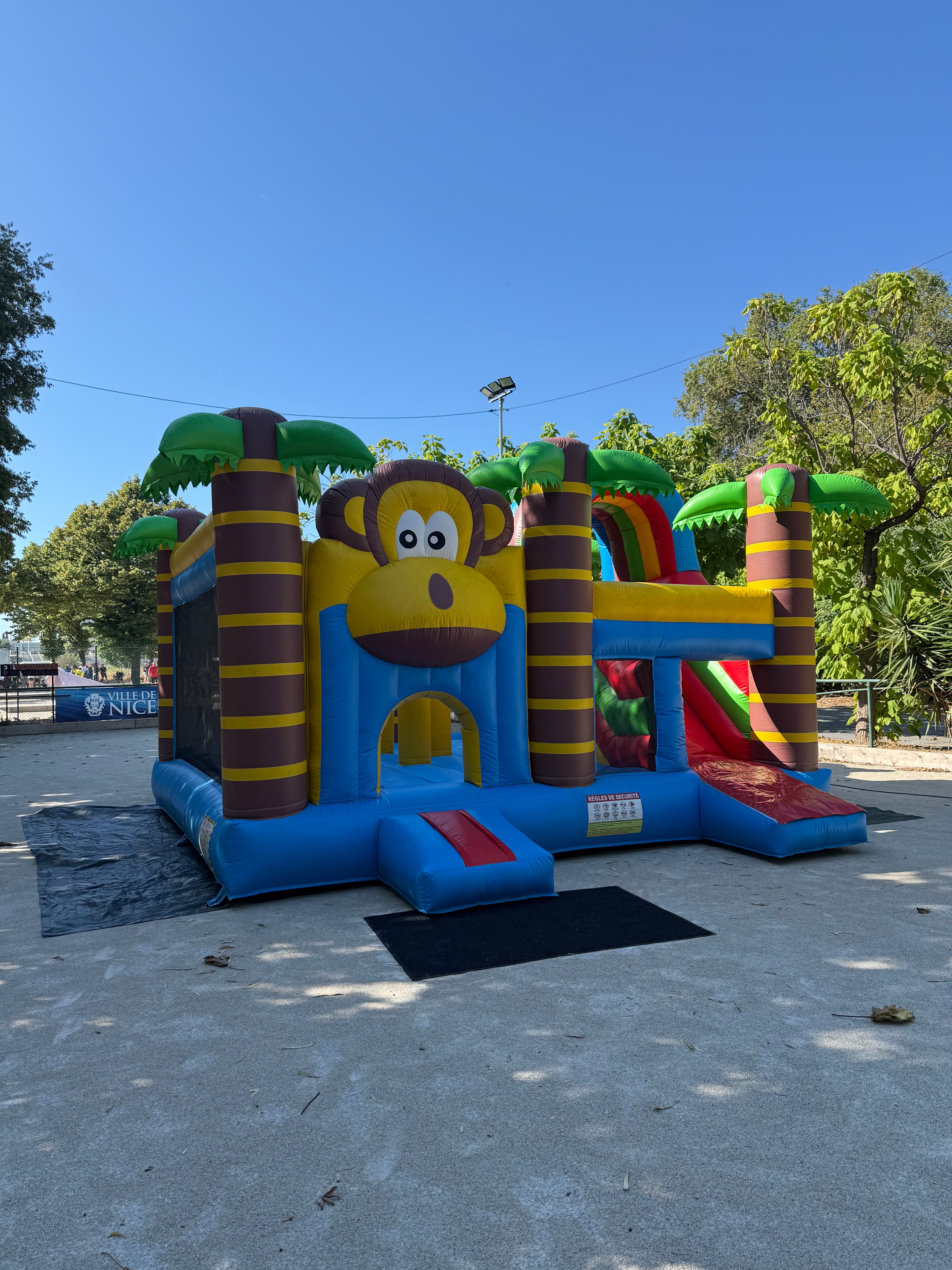 Jungle Monkey galerie 4