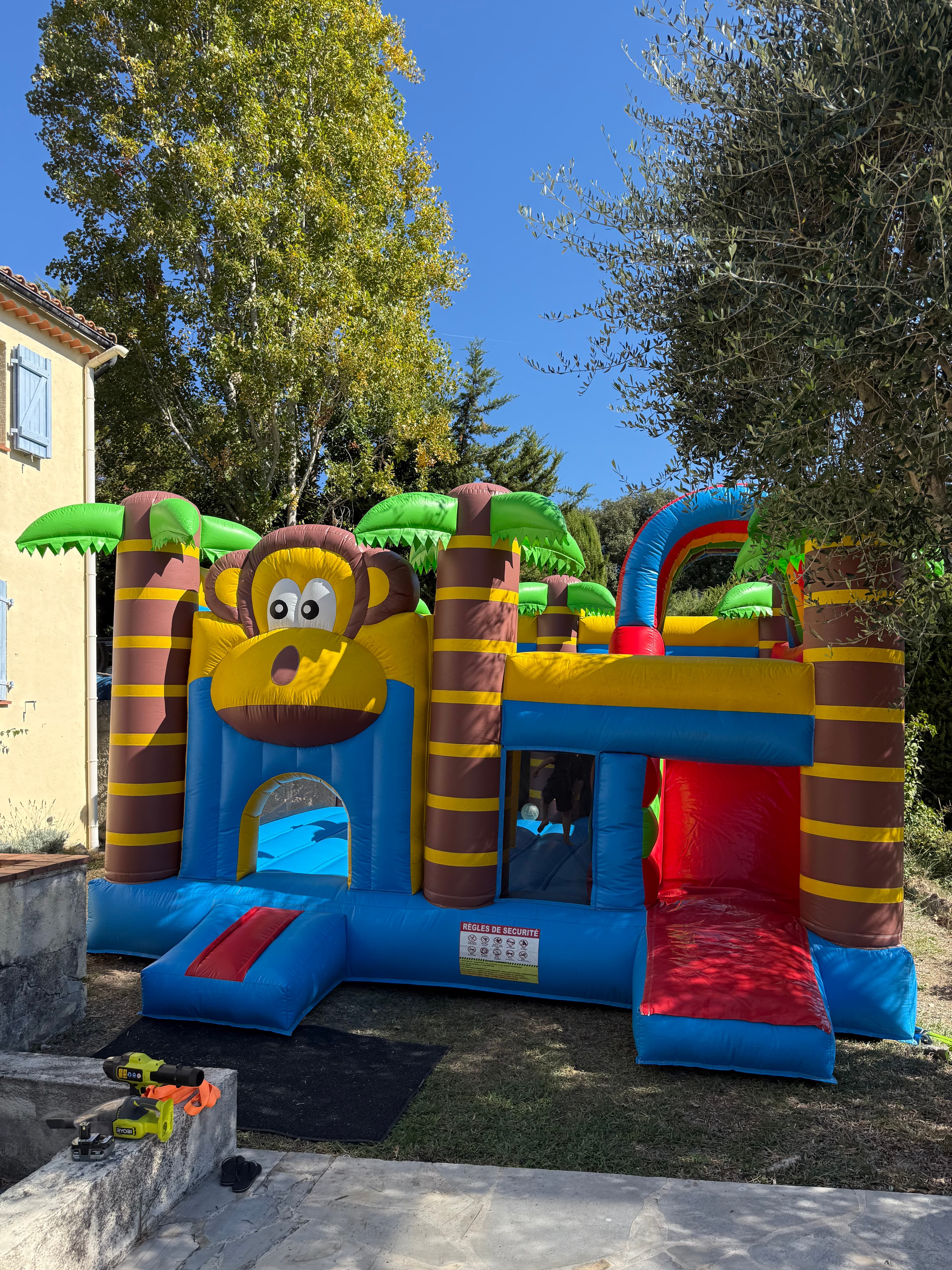 Jungle Monkey galerie 6