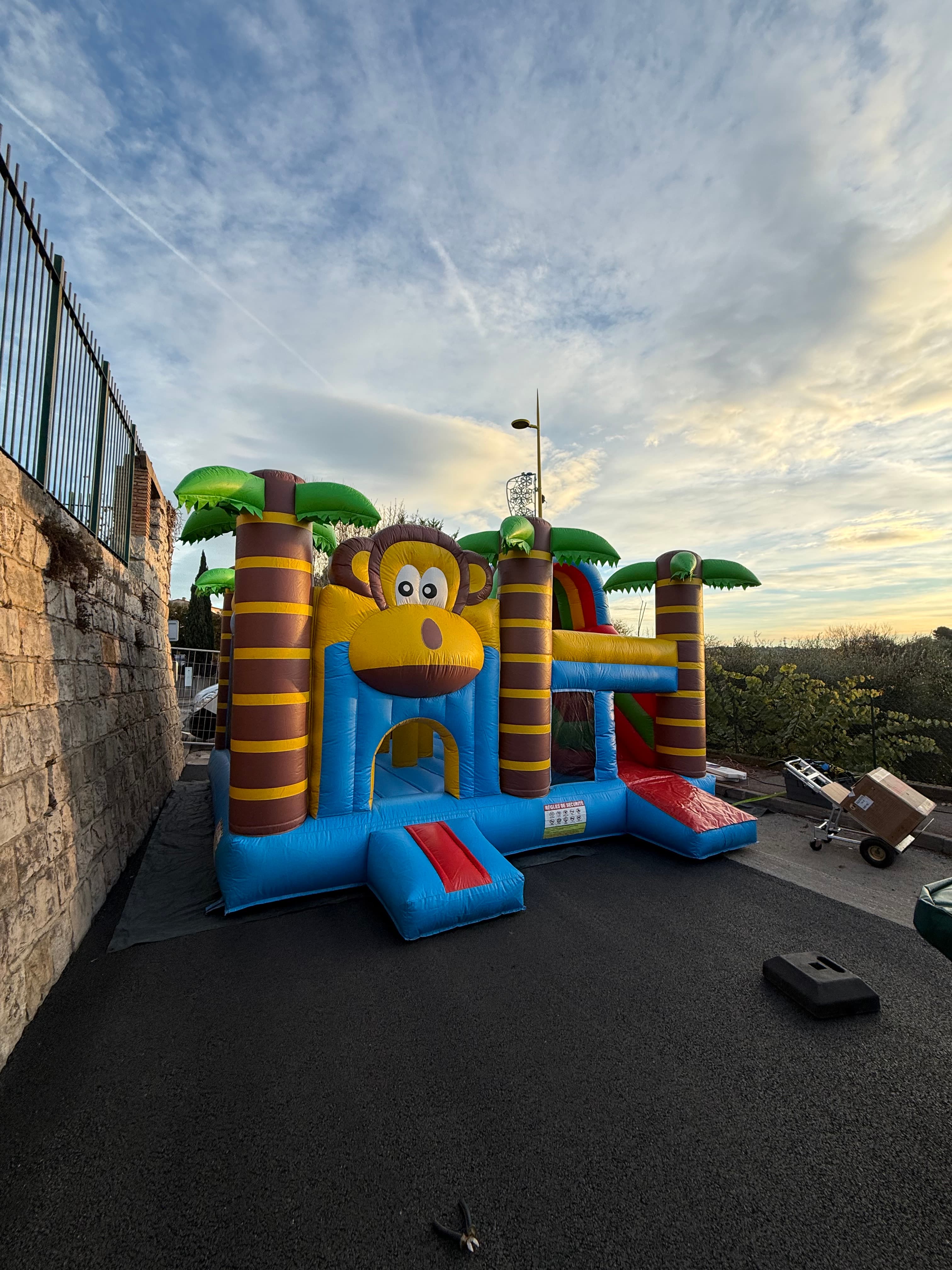 Jungle Monkey galerie 1