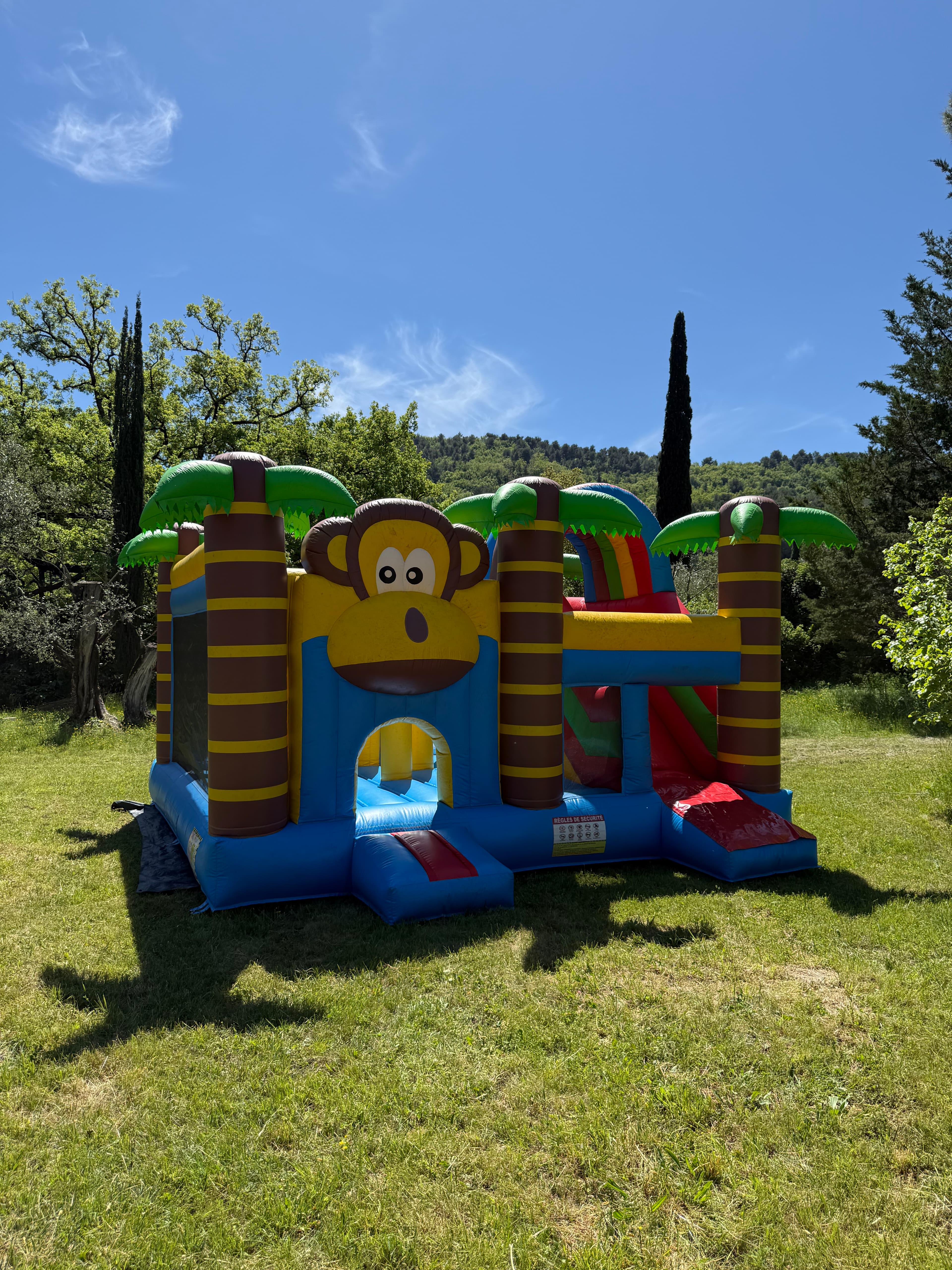 Jungle Monkey galerie 3