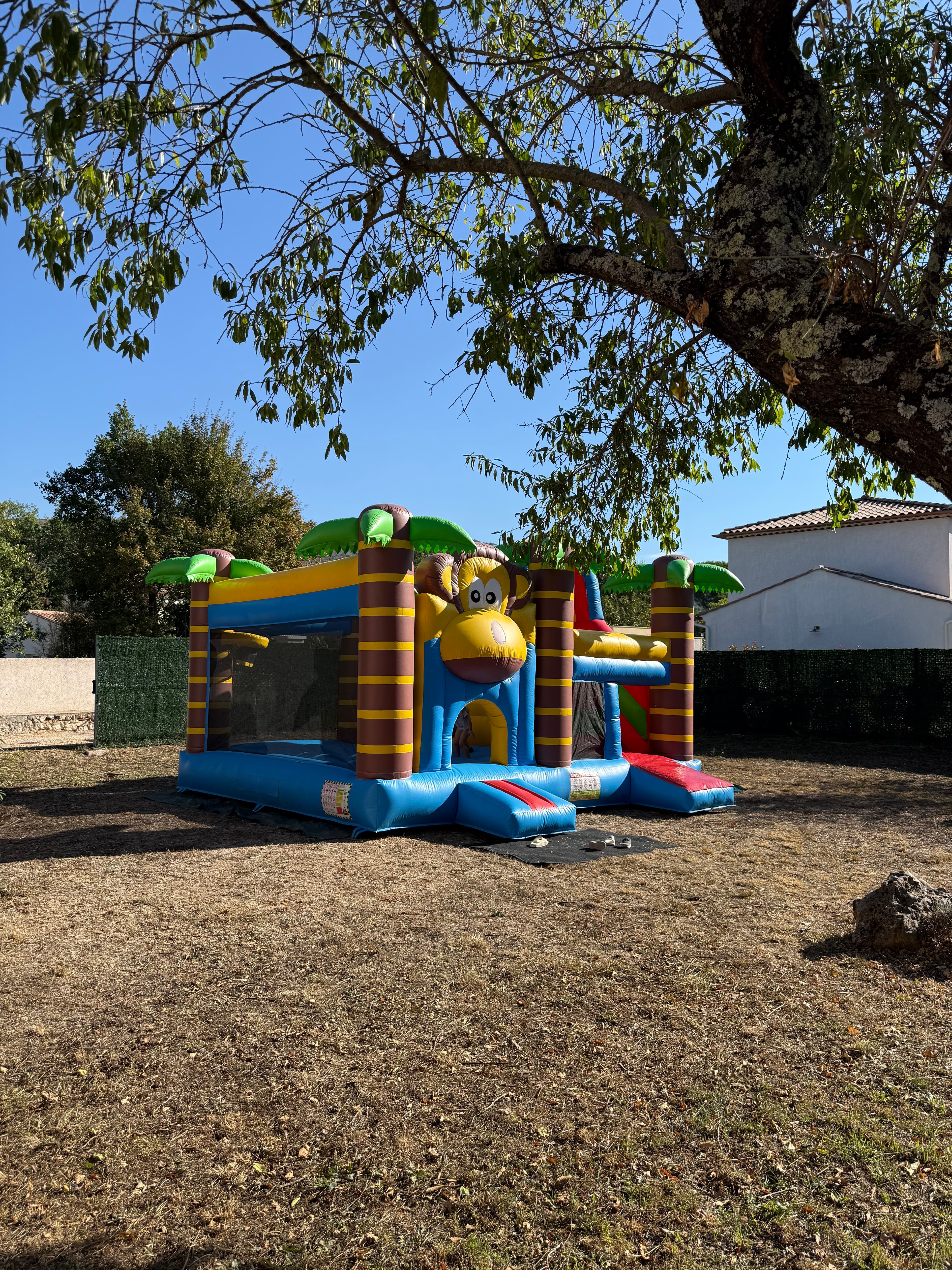 Jungle Monkey galerie 5