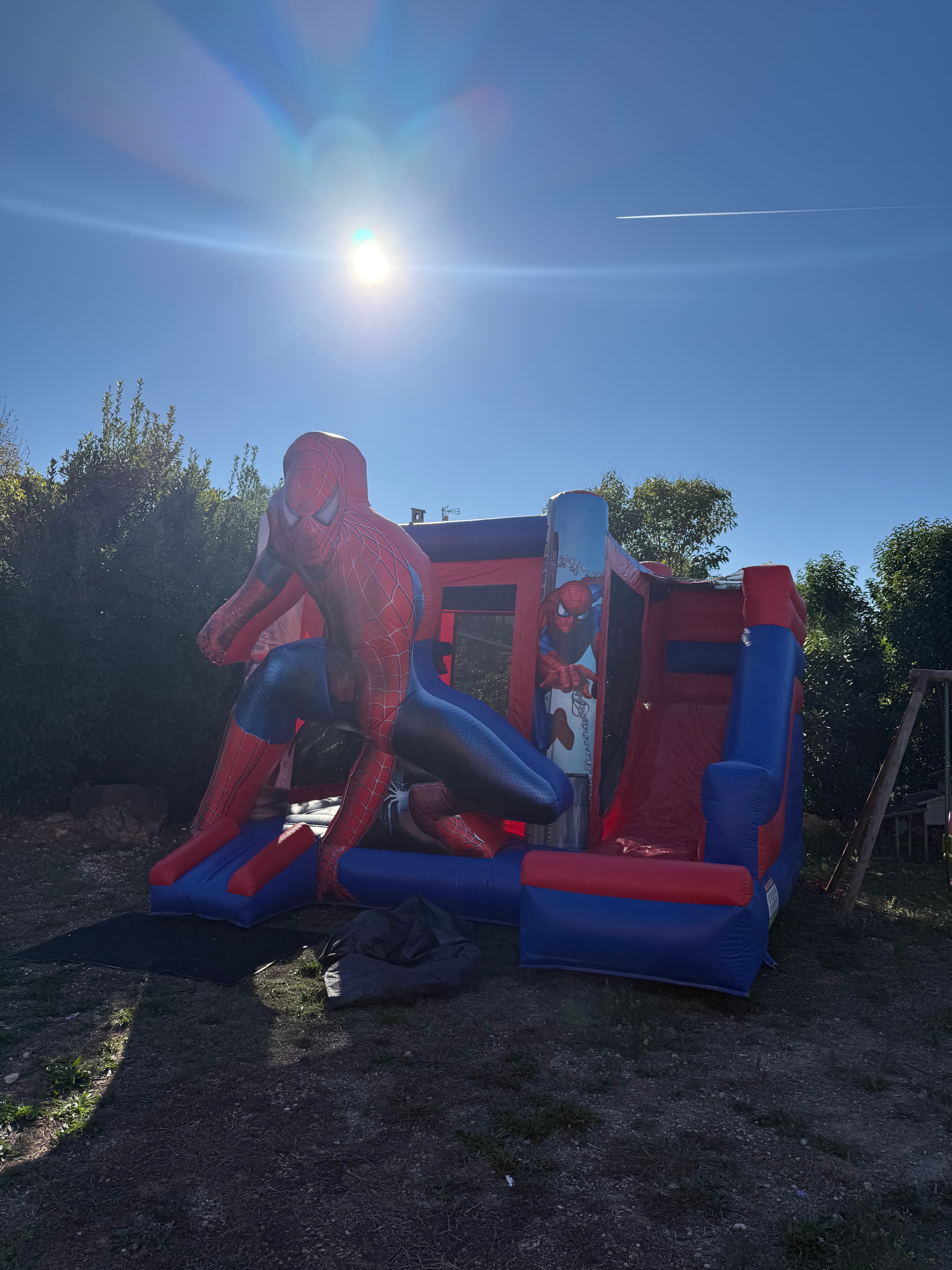 Spiderman galerie 1